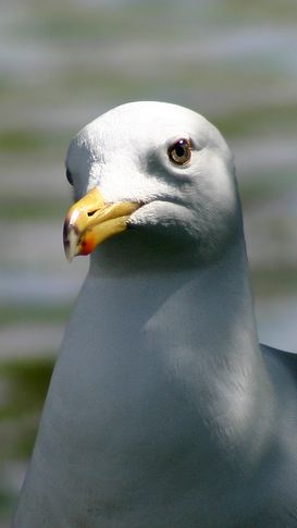 IMG_2301