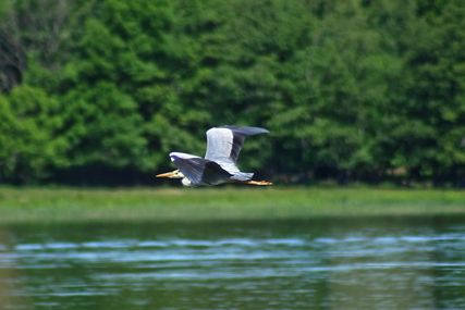 IMG_2921