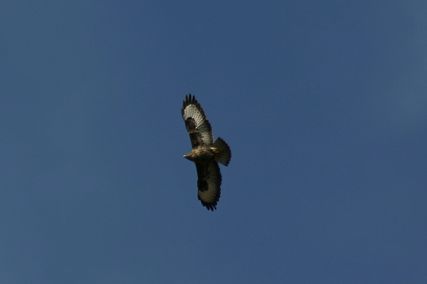 IMG_5676