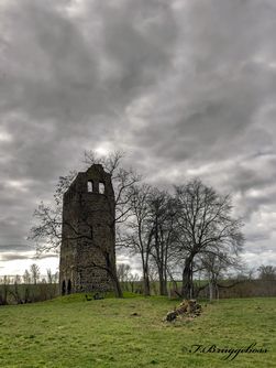 Ruine mit einen alten Baumstamm