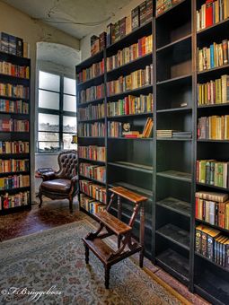 Die Leiter zum Buch