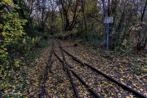Die Weiche