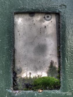 Moos im Kontrollfenster