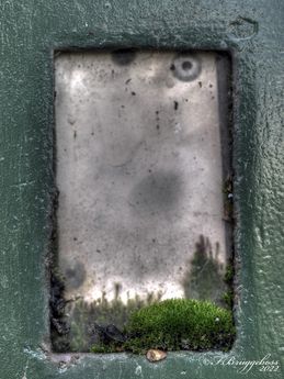 Moos im Kontrollfenster
