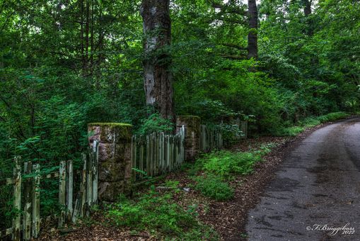 Der Gartenzaun
