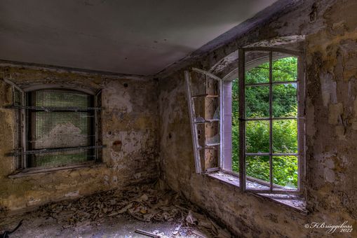Nebenraum mit Blick in den Wald