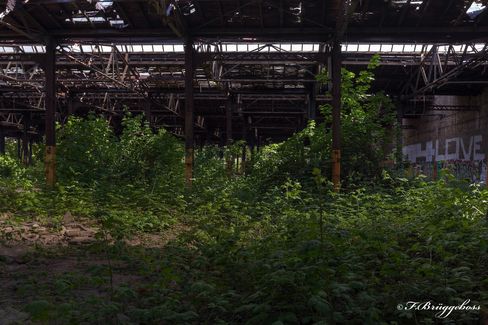 Bahnhofdschungel
