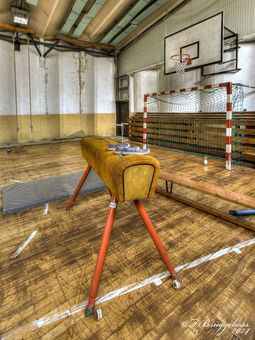 Eine Art Pferdesport