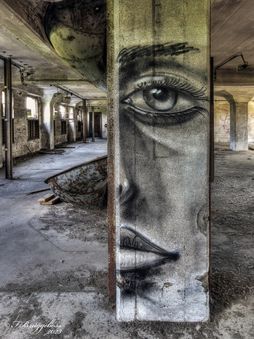 Das halbe Gesicht