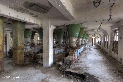Die Halle der grünen Trichter