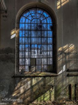 Schlafplatz im Fenster