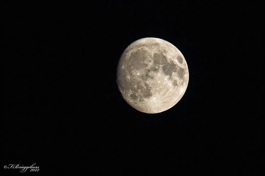 Der Mond über Braunschweig am 11.07.2022