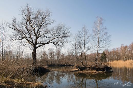 Sonntagsspaziergang