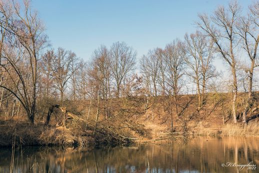 Sturmschaden