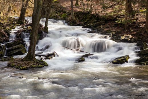 Der Selkewasserfall