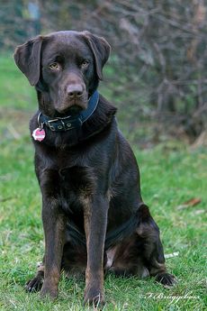 Oskar