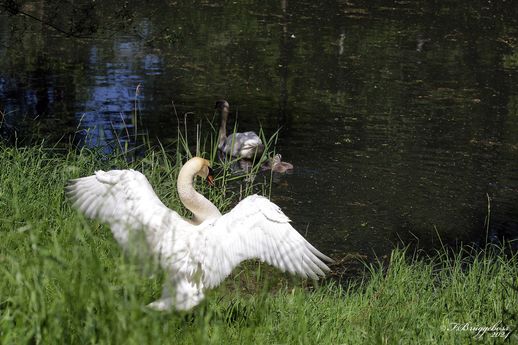 Und jetzt, ab ins Wasser