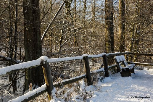 Winterspaziergang