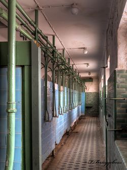 Dusche