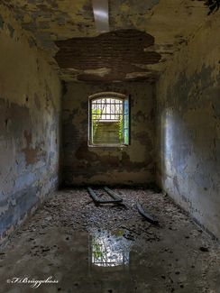 _MG_0180_1_2_3_4_5_6