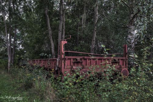 Im Wald vergessen
