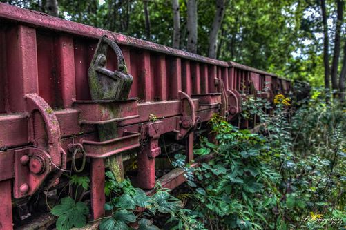 Plattenwagen mit Hemmschuh im Wald