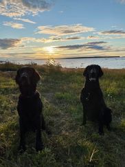 Vilja & Vega
