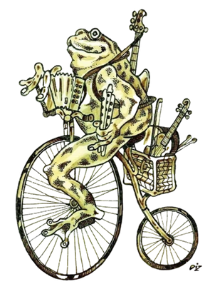 Northampton Ceilidh Band - Frog on a Bike