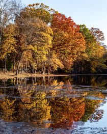 _10A6911-1 copy