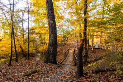 _MG_5815-HDR