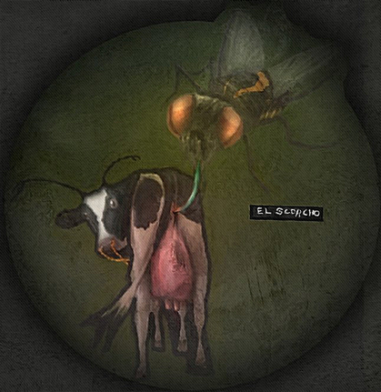 Fly and cow