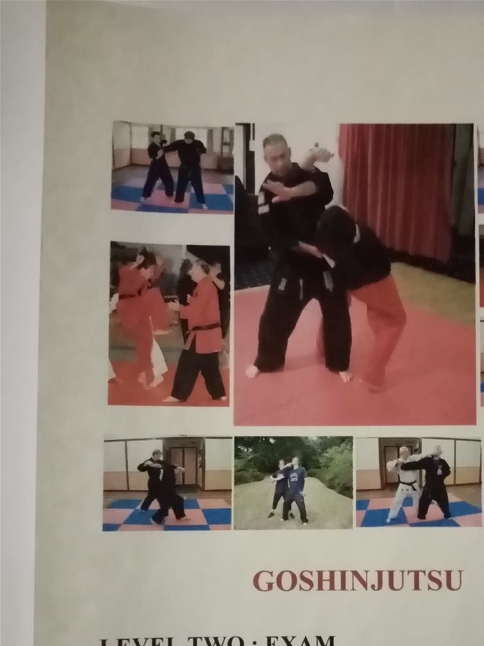 Level : 2  Exam  (F.K.R. Instructors Only) Self Defence