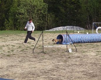 Foto J Frisk