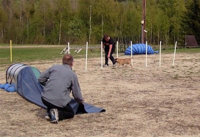 Foto J Frisk
