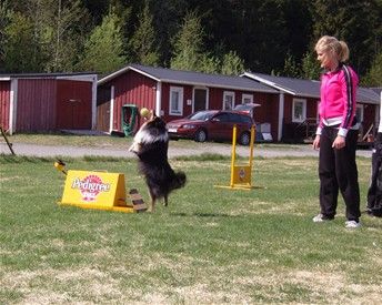 Foto J Frisk