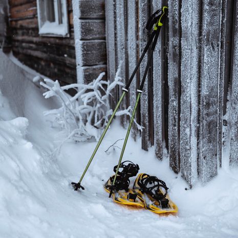 wanderstock-und-schneeschuhe-von-ajds-wood-wall