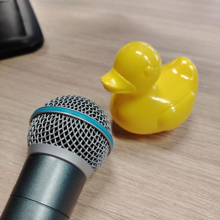 Karaokepalvelut