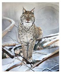 Lokatt