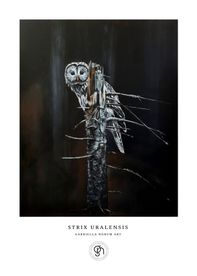Slagugglan - Strix Uralensis
