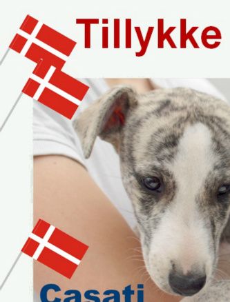 22.07.2018:
 
Tillykke til Cody, Basso, Holger, Bianchi, 
Ayla og Ayla med de 2 år i dag