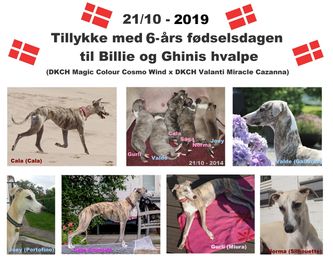 21/10-2020: Tillykke til Lamborghini kuldet