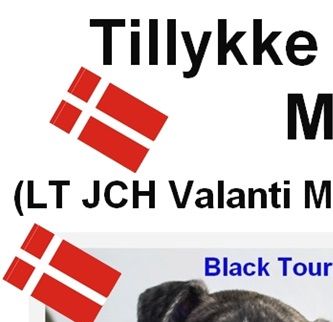 5/11-2022: Tillykke med 1-års fødselsdagen til de 