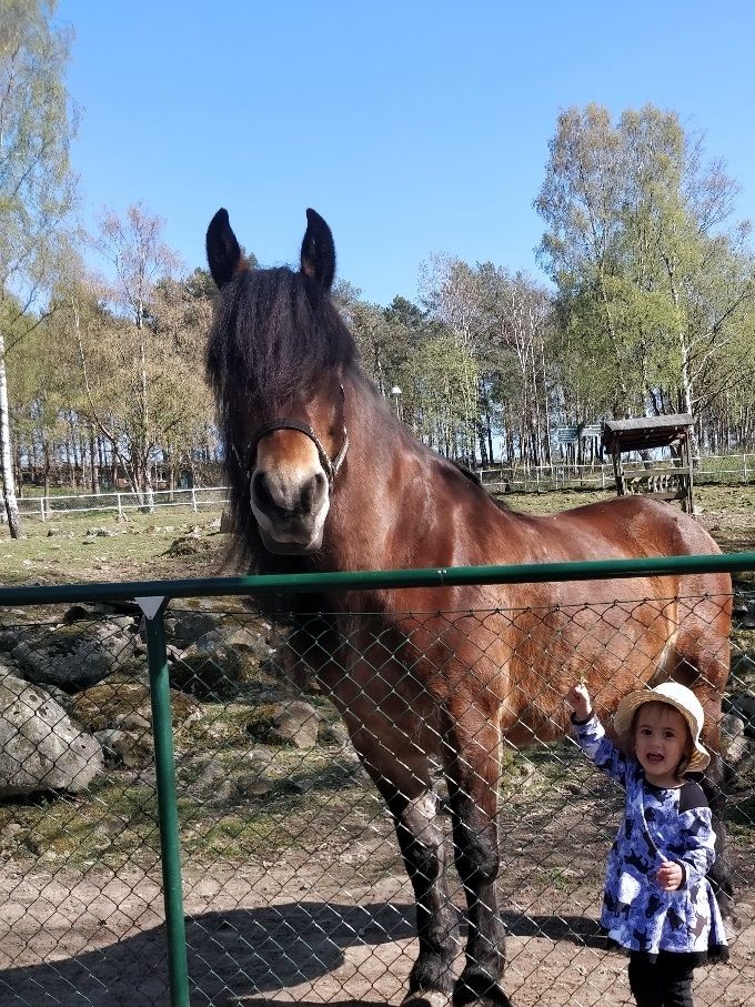 Titta denna härliga bilden vi fick skickade till oss av en besökare!