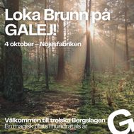Loka Brunn