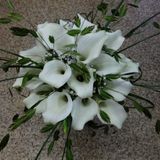 thumbnail_IMG_2294