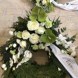 thumbnail_IMG_2698