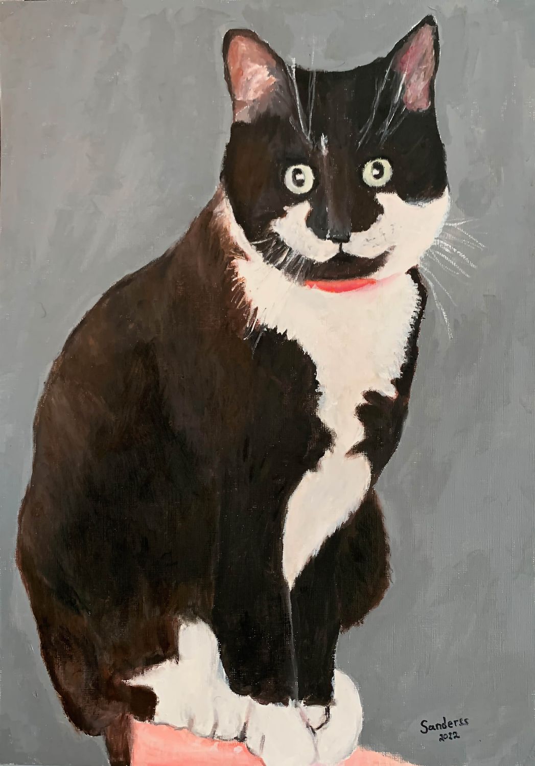 Portrait of a cat