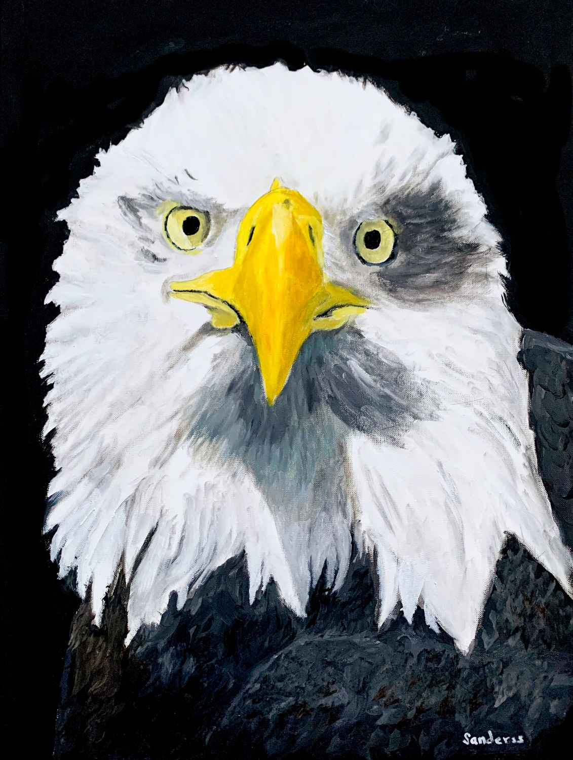 Bald eagle