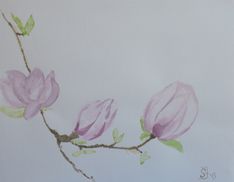 Tulipantræblomster no 1  
