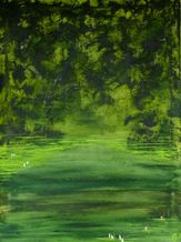 Waterlilly 